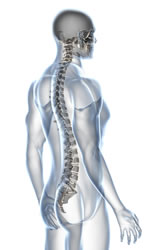 Chiropractor Near Me